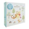 Disney Character Album, Large Size, Holds 720 Photos, Large Capacity, IT-DY6L-720-02, Winnie the Pooh