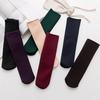1 Pair Women's Autumn Winter Thickening Socks Velvet Casual Snow Thermal Keeping Socks