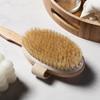 Bathroom Body Brushes Long Handle Bath Natural Bristles Brushes Exfoliating Massager With Wooden Handle Dry Brushing Shower Tool