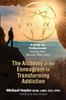 Книга The Alchemy of the Enneagram In Transforming Addiction