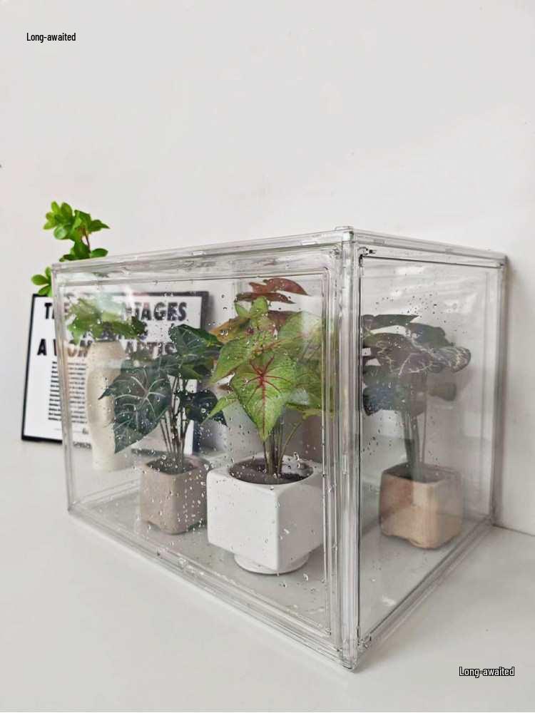 Plant Misting Box: Transparent Acrylic Stackable Greenhouse for Tropical Plants and Flower Cuttings.
