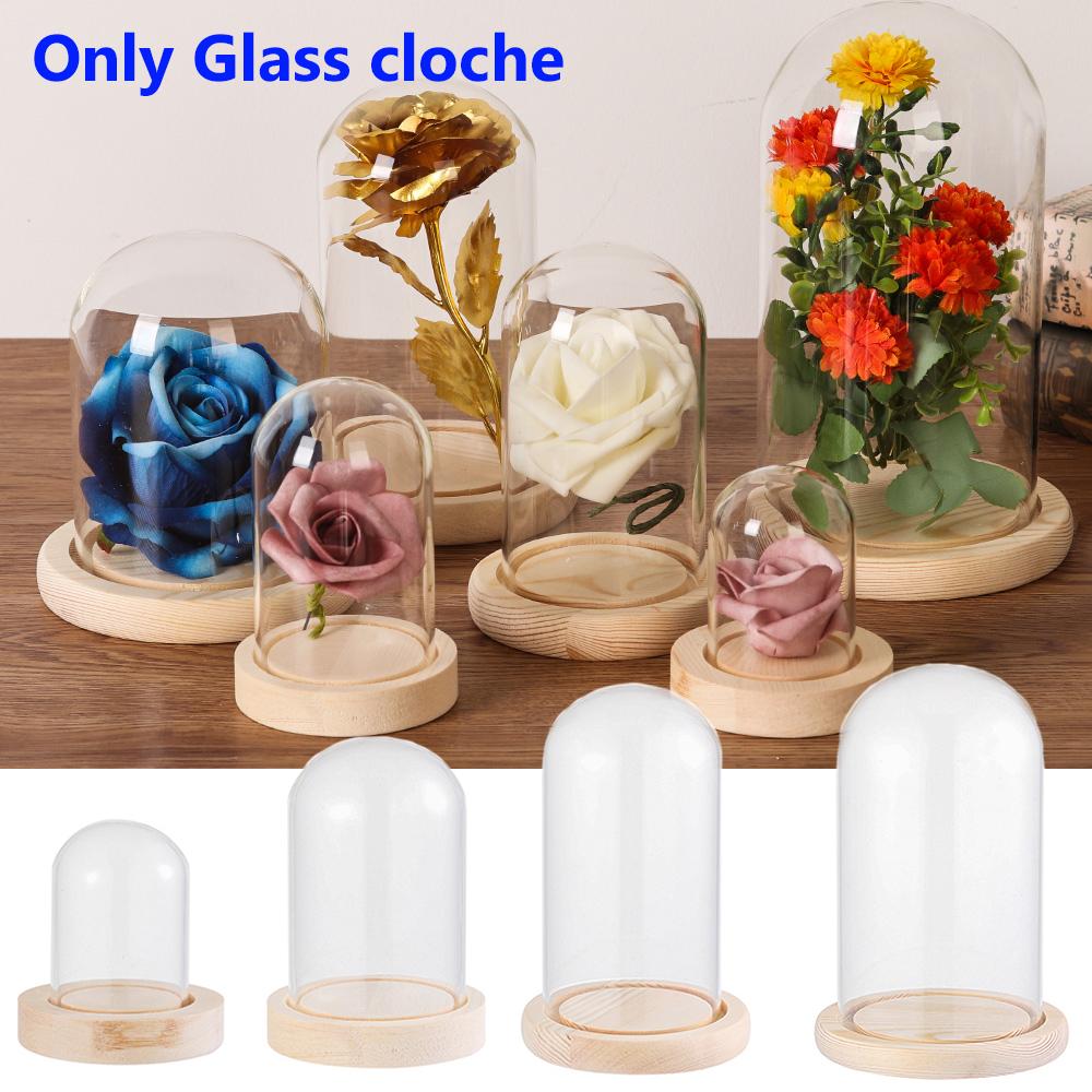 Home Decor Jar Glass Vase Transparent Bottle Dust Cover Wooden Base Glass Cloche Flower Storage Box