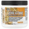 EVLution Nutrition Creatine Monohydrate Chewable Tablets, Orange, 90 Tablets