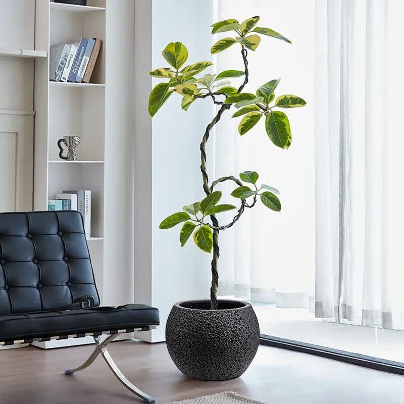 Nordic Moon Surface Large Plastic Floor Planter