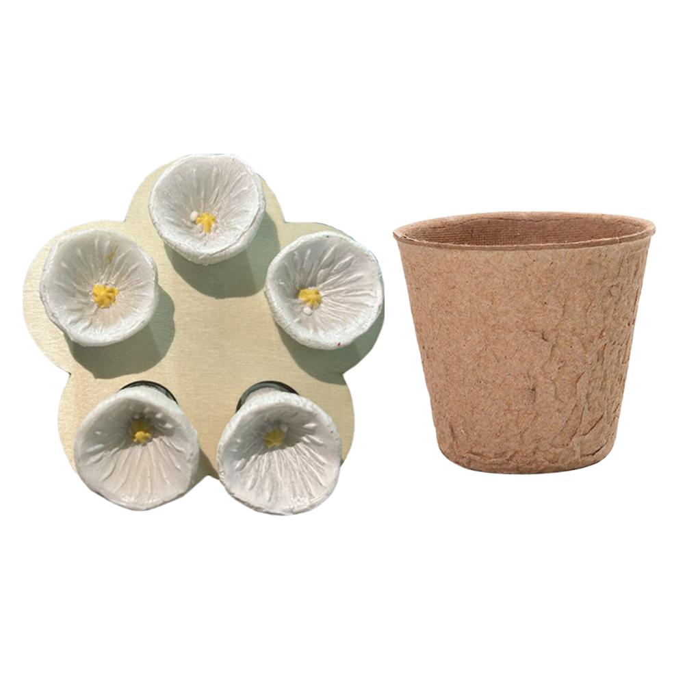 Пчелы Насекомое Чашка для питья Пчелиная поилка Чашка Смола Форма пяти цветков Пчелиный опылитель Кормушка для воды с чашкой для расплода и держателем