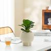 Retro High-Leg Ceramic Flower Pot for Phalaenopsis, Green Radish, and Spider Plant in Cream Style