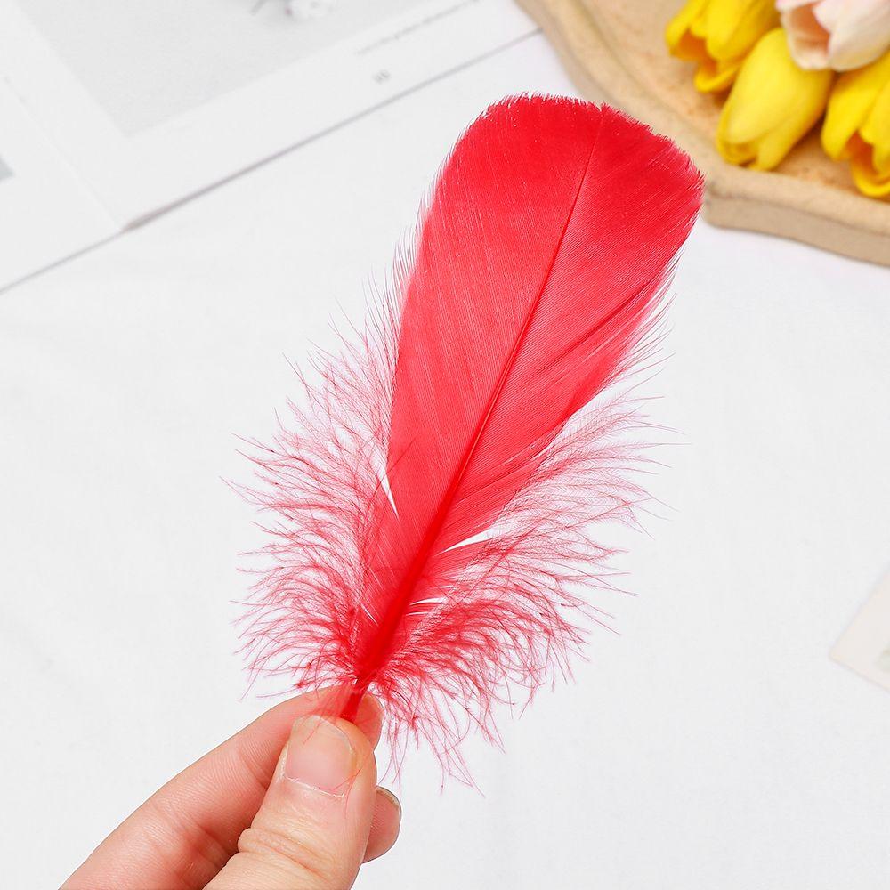 Wedding Ornaments Natural Color Colorful Feather Costume Decoration Home Decoration Goose Feathers