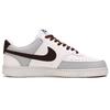 Nike Court Vision 1 Abrasion Resistant Abrasion Resistant Low top Skateboard Shoes Men's Gray Brown DH2987-101(Team804-)