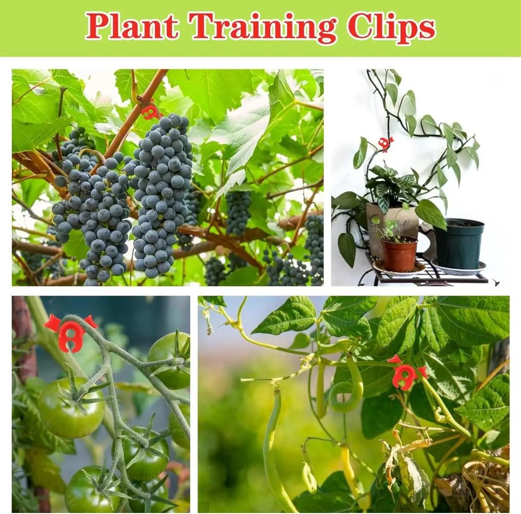 10-50 шт., 90 градусов, гибки растений, тренажер для манипулирования ростом, зажимы для растений, зажимы для гибки веток, аксессуары для веток