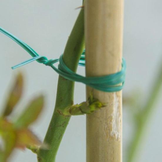 Garden Plant Ties Flexible Wire Design Weather-Resistant Vegetable Tomato Twist Ties Climbing Plants Support Ties