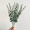 Single Eucalyptus, Gray Eucalyptus Money Leaf Cuttings, Home Decoration DIY Flower Arrangement Simulated Green Plants