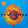 12inch Record FARM - Rising Sun 6581736 End Product 1992 UK Dance & Electronica Used