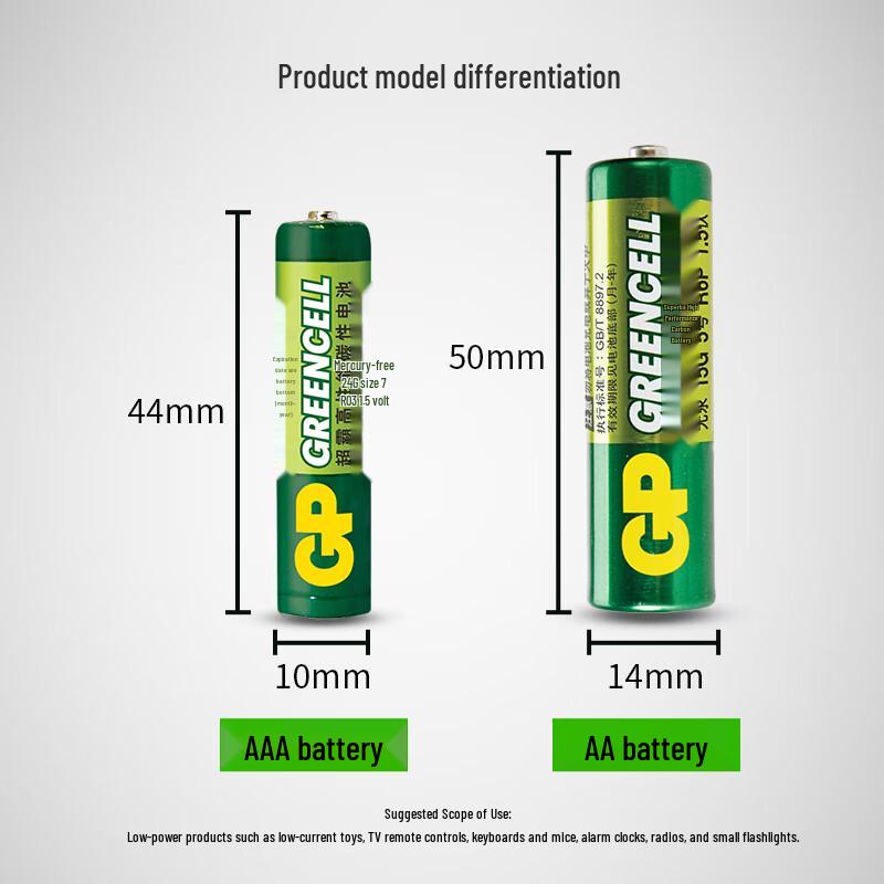GP AA Carbon Batteries CN plug (adapter included)