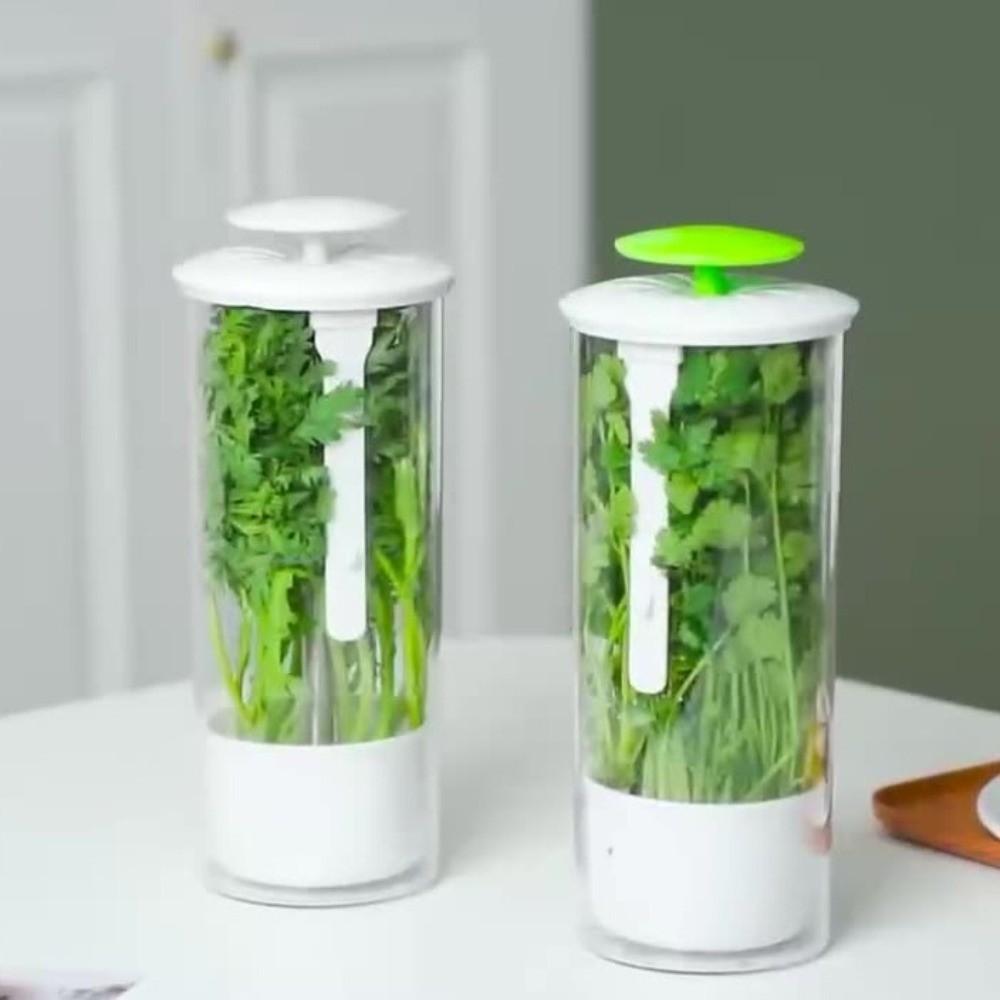 Anti-pressure Herb Saver Dust-proof Vegetables Preservation Bottle Cilantro Parsley Basil Mint