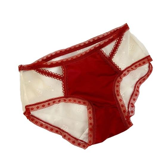 Lace Sexy Panties for Women Low Waist Full Coverage Briefs with Bow Ladies