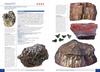 Atlas Naturalnych Kamieni Szlachetnych I Ozdobnych 120 Minerałów I Skał Tw