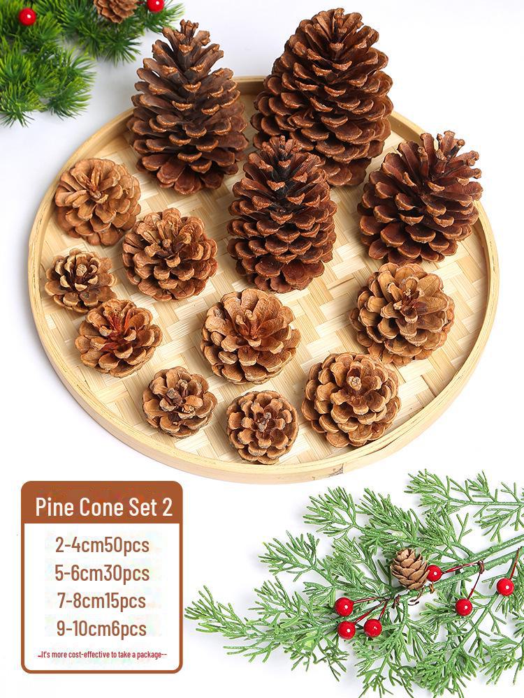 Pine Cone DIY Decoration Kit: Branch, Log, Dried Flowers for Creative Kindergarten Hanging Crafts