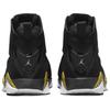 Jordan True Flight Черный Белый Металлик Золотой 342964-072