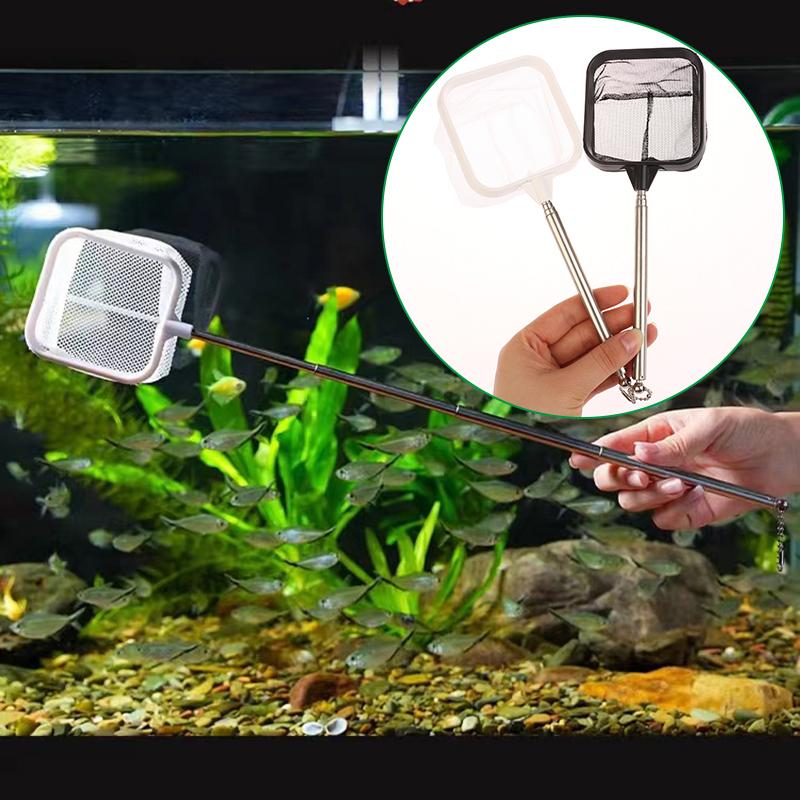 Рыболовный сачок, устойчивый к коррозии, портативный, из нержавеющей стали, телескопический, рыболовная сеть, аксессуары для аквариума