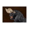Max Factory POP UP PARADE Berserk Zodd L Size Non-Scale Painted Plastic Figure