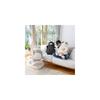 Ribheart Big Size Cat Plush Toy - Cat Affirmation - Katsuo (Bicolor Cat) - Approx. 58cm in Length -