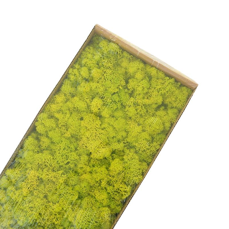 Preserved Flower & Moss Wall Decoration Kit: Flower Gift Box Materials