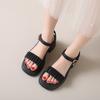 Fairy Style Thick Soled Sandals for Women Wearing Summer  New Thick Heels with Fashionable Beach Shoes