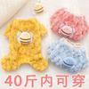 New Four-legged Plush Bee Can Lead Pets, Dogs, Cats, Clothing Supplies, Autumn and Winter Warm Thickened Teddy