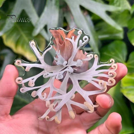 Tropical Plant Refrigerator Magnets 3D Plants Magnet, Acrylic Green Decorative Fridge Home Decor Memo Notes Photo Holder for Kitchen Office