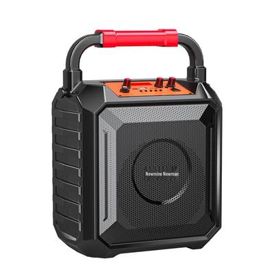 Портативная Bluetooth-колонка для караоке Newman K220, штекер CN (адаптер в комплекте)