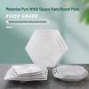 Commercial Melamine Square Dinner Plate