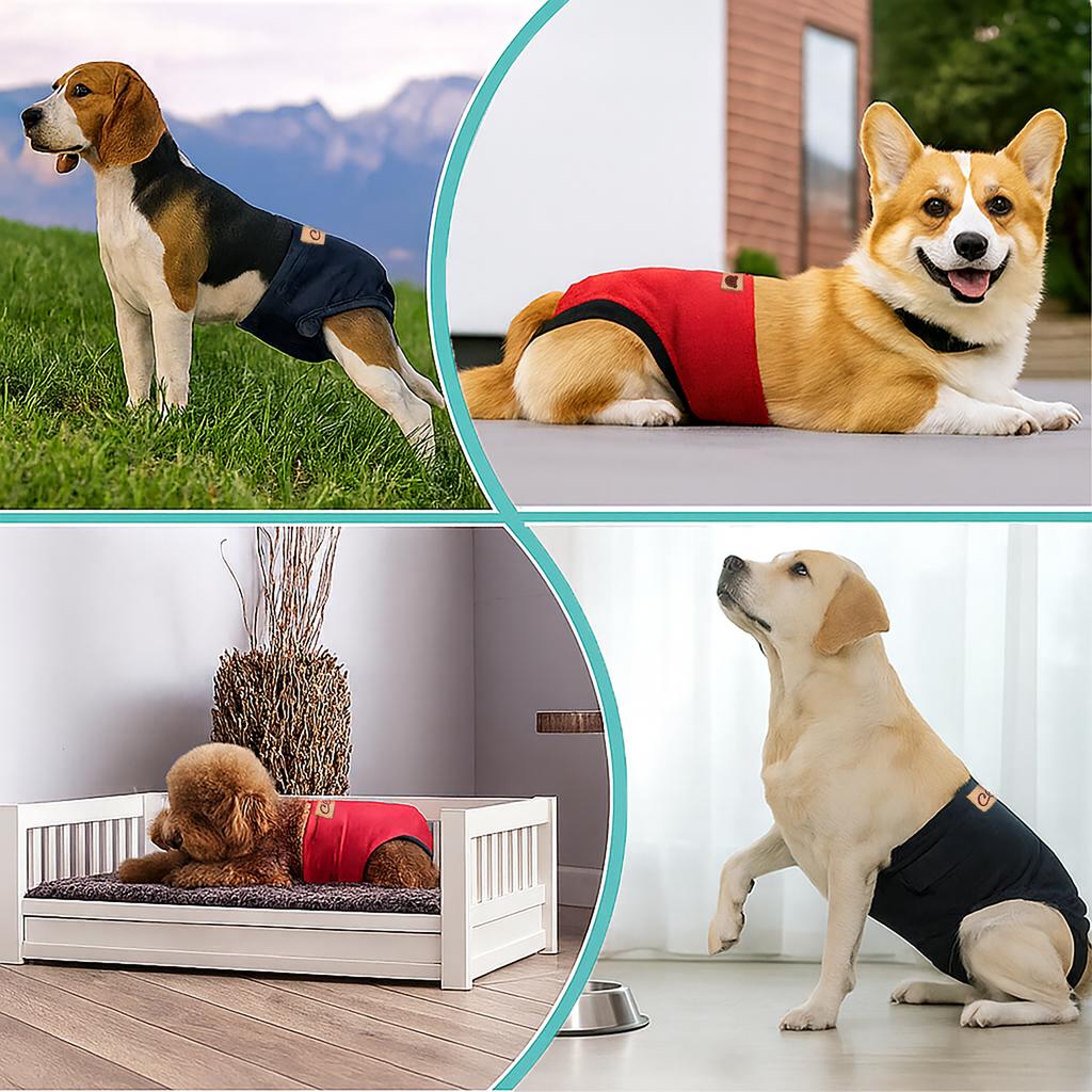 Pet Physiological Pants Wash With Water Dog Diaper Absorbability Adjustable Repeatable Usepet Dog Underwear Shorts
