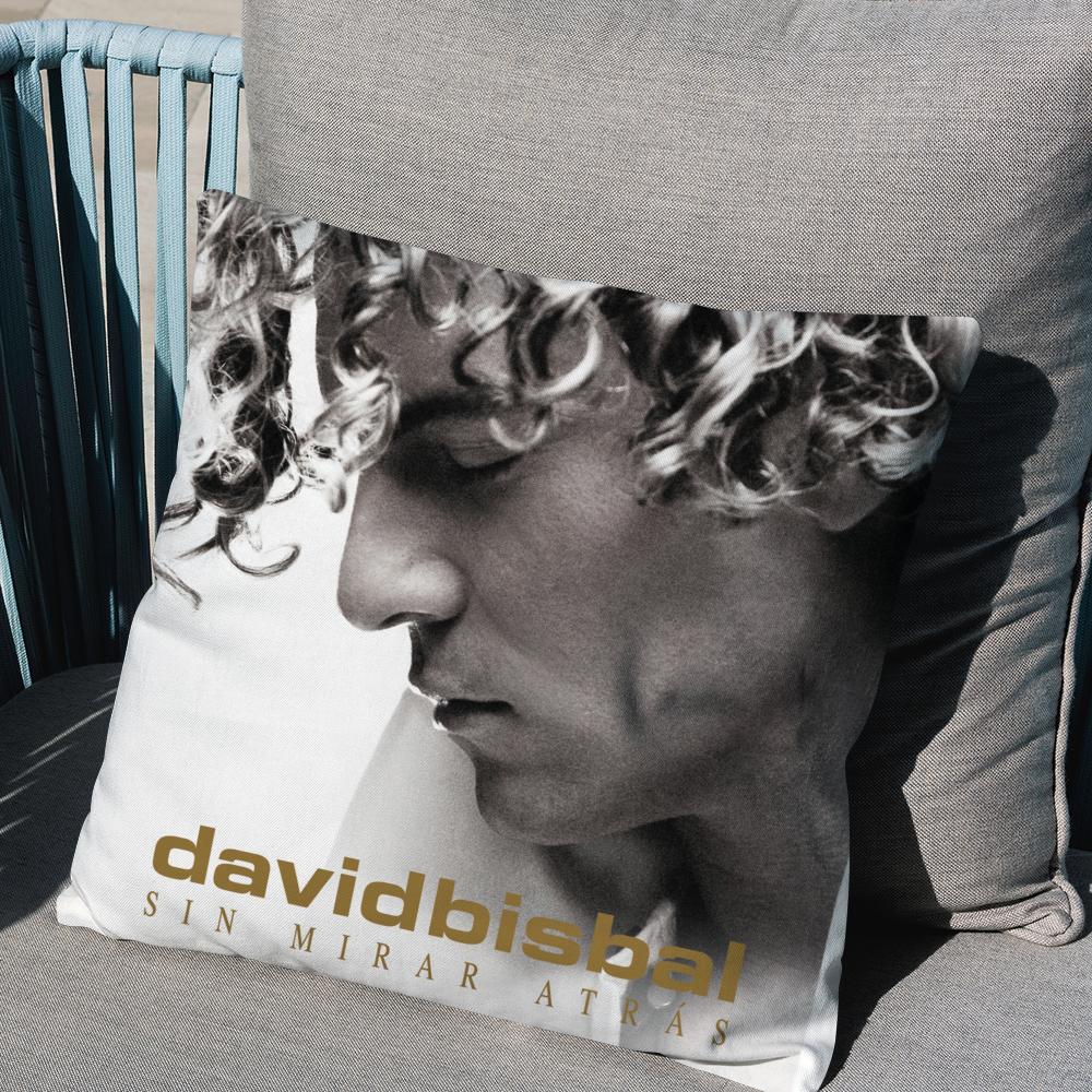 D-David Bisbal Pillow Case Anti-Dustmite Pattern Cushion Cover Suitable For Sofa Bedroom Car Pillow Case Cover