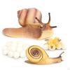 Пластиковые модели жизненного цикла Модель Детские игрушки