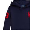 Polo Ralph Lauren Вышитое худи с длинным рукавом Детские худи Синий 323979316-005