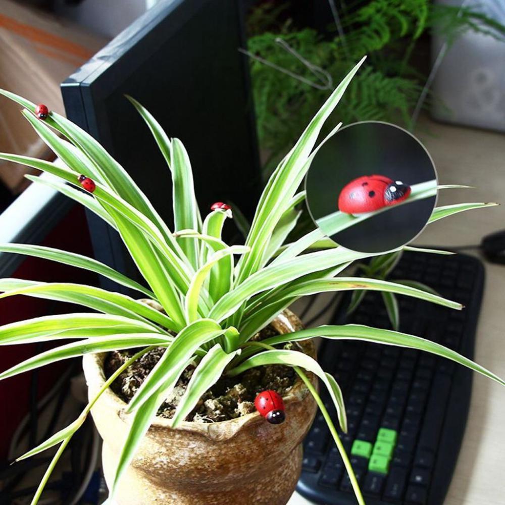 Миниатюрная модель Маленький жук Бонсай Декор Фигурки божьей коровки Деревянные поделки Сказочный сад Пейзаж