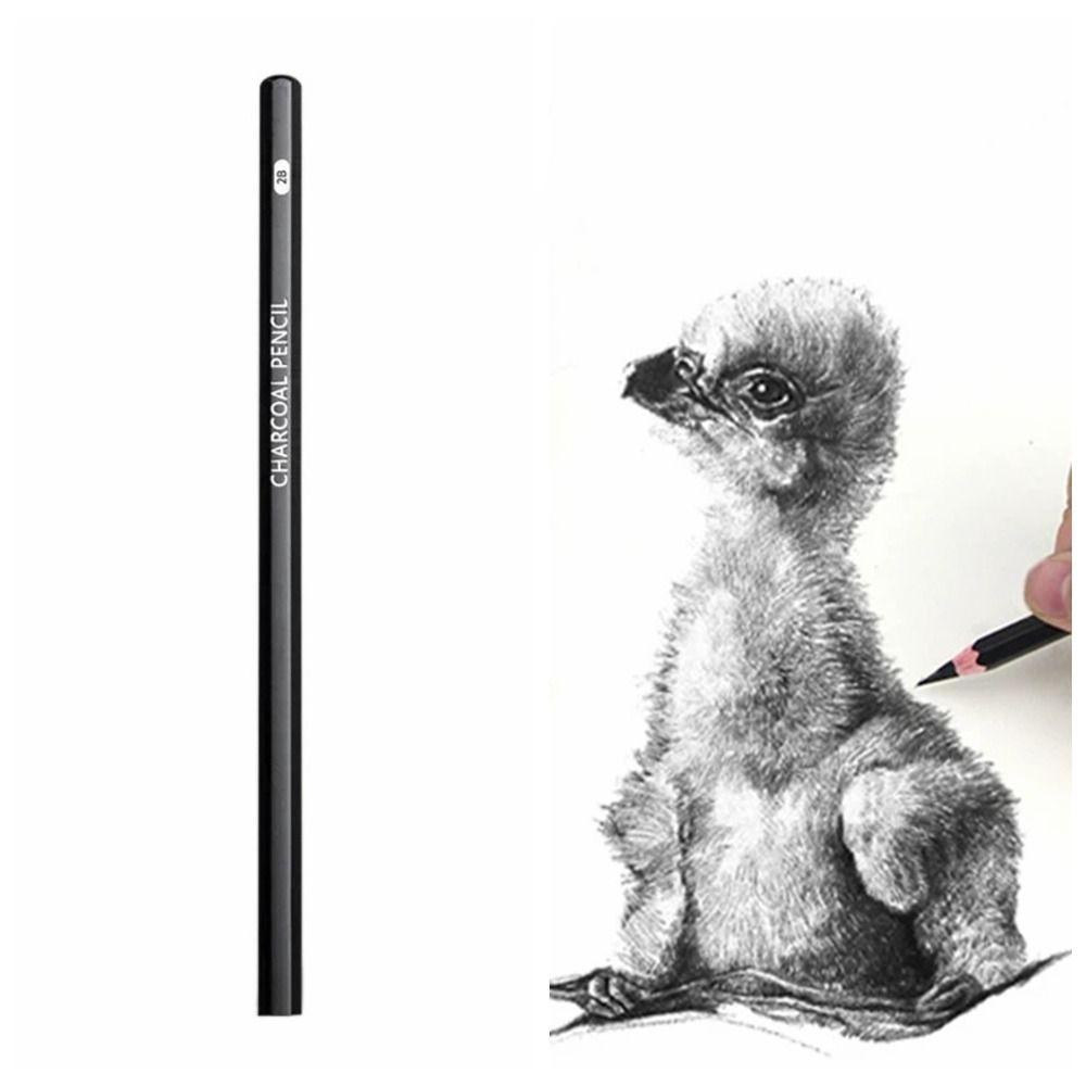 Рисование Живопись Эскизный Карандаш Графит Смешанный Набор Рисовальных Карандашей Угольные Карандаши Детали Обработка
