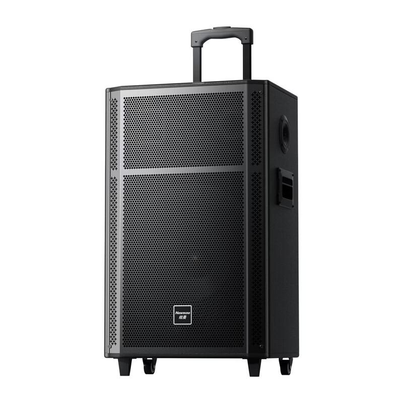Портативная тележка Bluetooth-колонка Newmine N529, 15 дюймов, штекер CN (адаптер в комплекте)