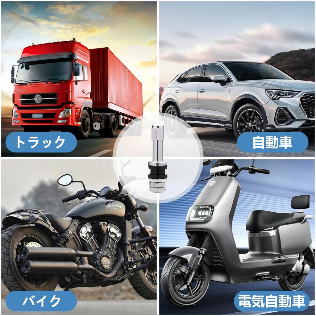 TR48E Short Stem with Dust Cap Clamp-in Valve, Metal Tire Valve, General Purpose, Tubeless