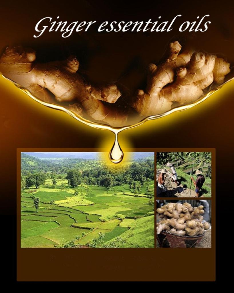 30 мл Жасмин Нероли Лаванда Эвкалипт Мята Чистые эфирные масла Диффузор Сандаловое дерево Вишневый цвет Арома-масло чайного дерева