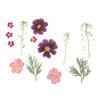 Photo Props Jewelry Making Beauty Decal Dried Flowers Resin Filler Resin Mold Filling Flower