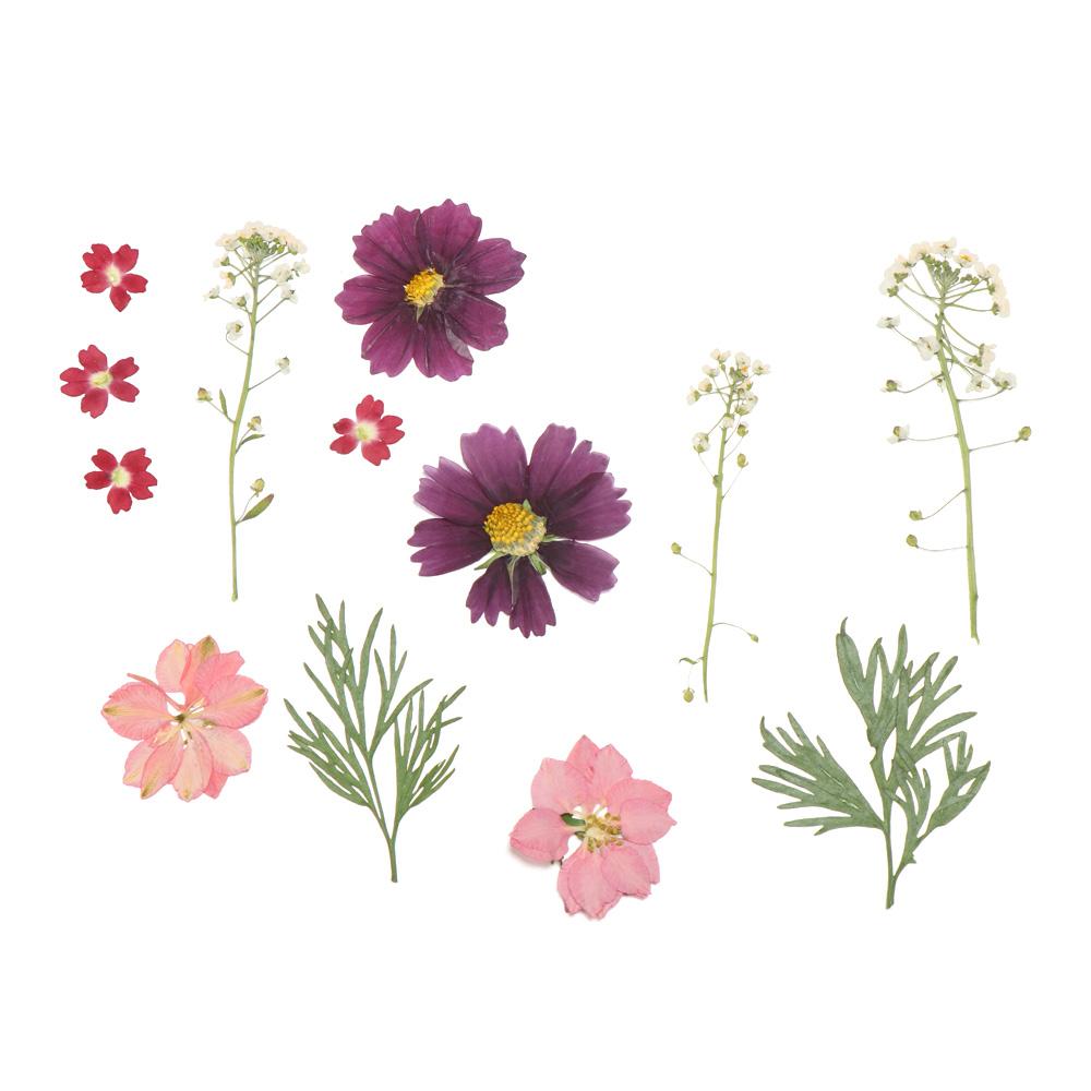 Photo Props Jewelry Making Beauty Decal Dried Flowers Resin Filler Resin Mold Filling Flower