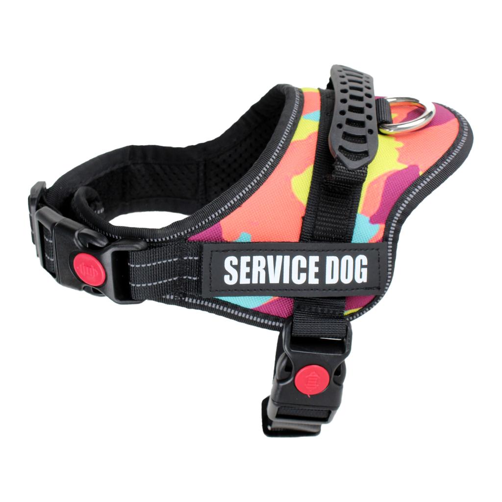 Милый ошейник-шлейка для щенка и котенка, светоотражающая шлейка-жилет для маленькой собаки, для прогулок на улице, защита от потери, корги, лабрадор, чихуахуа