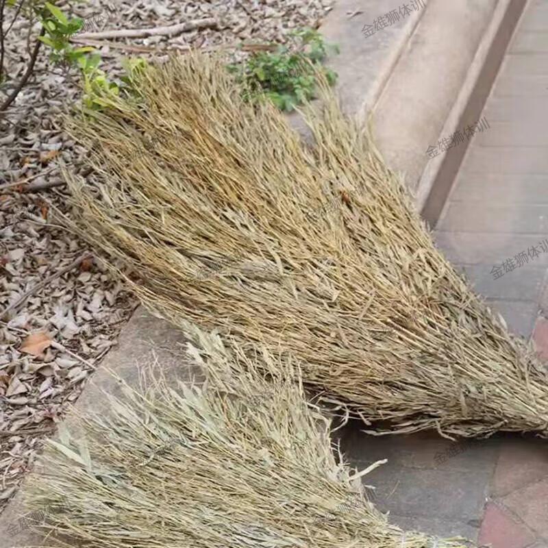 Golden Lion Heavy-Duty Bamboo Broom