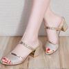 2024 Summer Sequin Sandals Women's Summer New Chunky Heels Silver High Heels Ladies Casual Outdoor Ladies Sandals 34-40