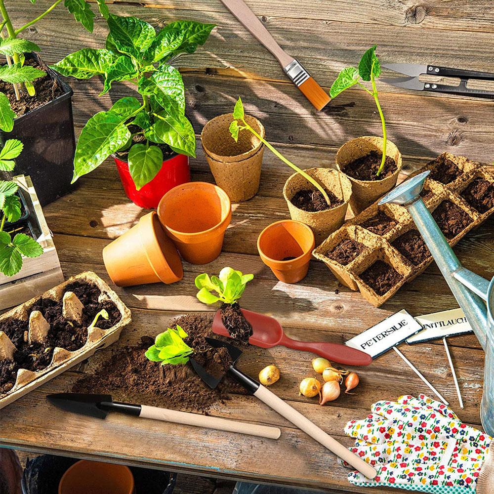 Набор из 13 инструментов для садоводства, инструменты для пересадки бонсай, инструменты для микропосадки суккулентов