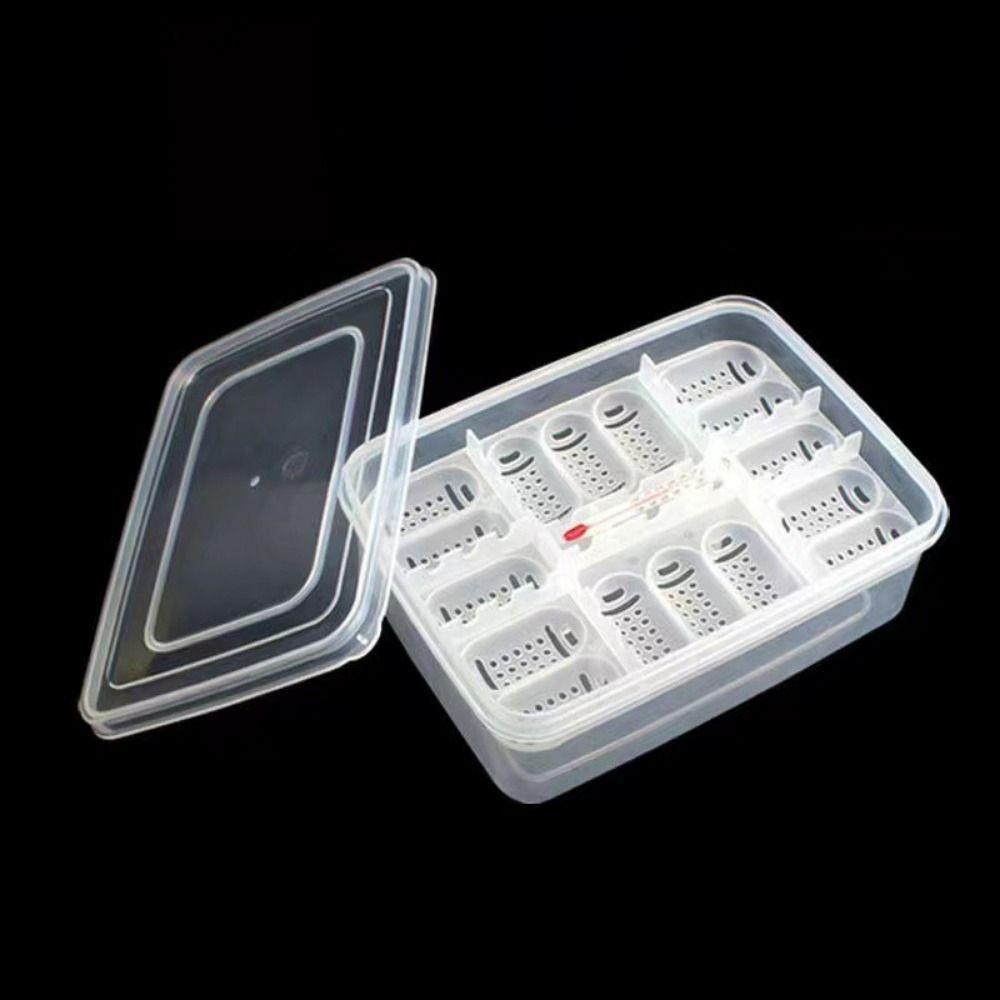 with Thermometer Reptile Hatch Box 16 Grids Crawler Incubation Case  Pet