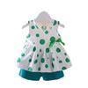 Очаровательный летний комплект из двух предметов для девочки-младенца Мягкий и легкий для малышей от одного до трех лет