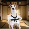 Костюм для домашних животных в стиле кунг-фу Удобный костюм для собаки для боевых искусств С дизайном на 2 лапы Легко надевать Для активных пород Переодевание
