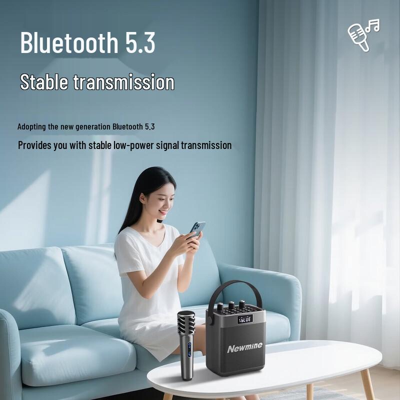 Портативная Bluetooth-колонка для караоке Newmine K519, штекер CN (адаптер в комплекте) (Китайская версия)